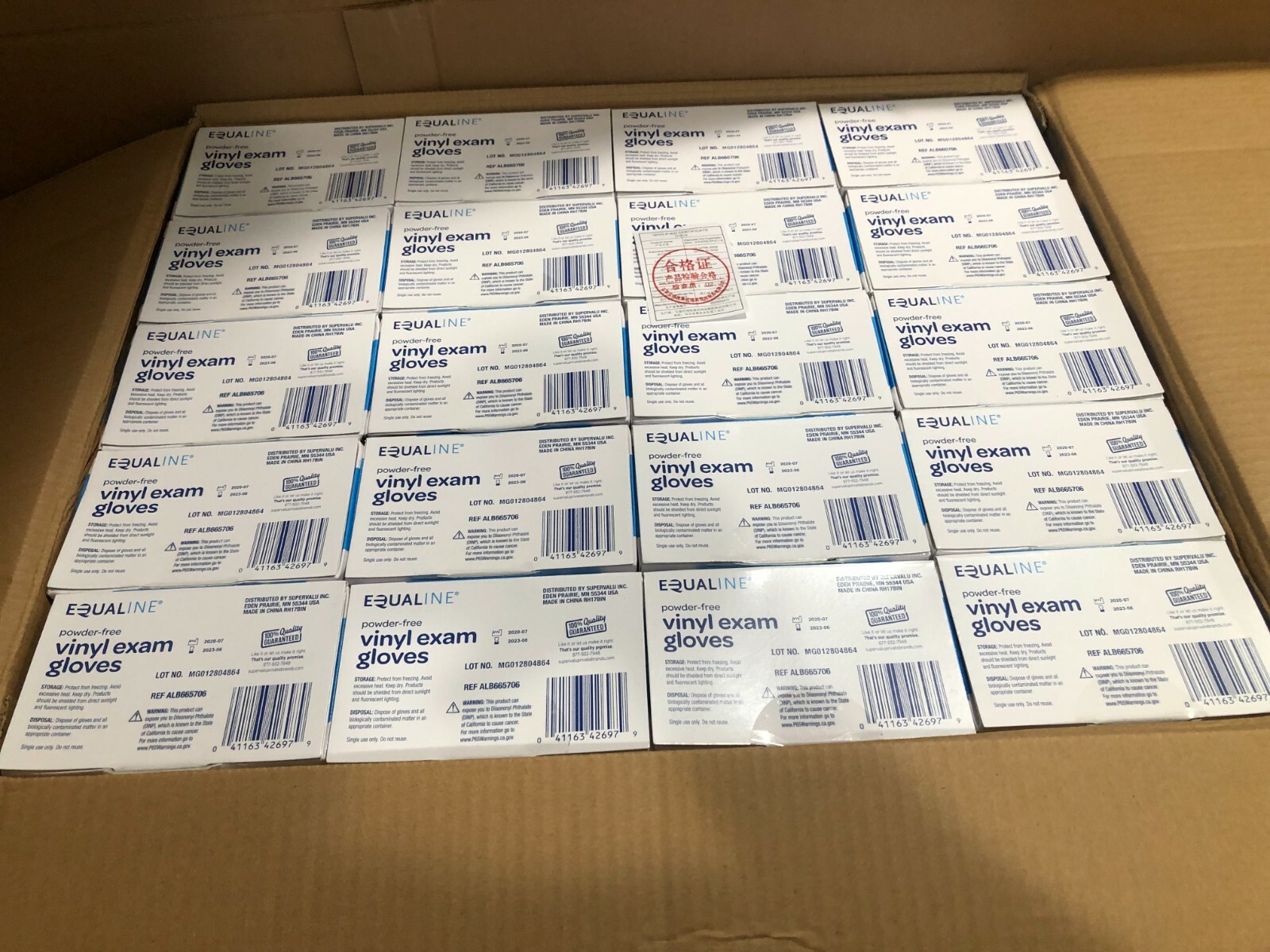 (2000 CASE) Equaline Vinyl Exam Gloves Powder-free One Size Fits All FREE SHIP