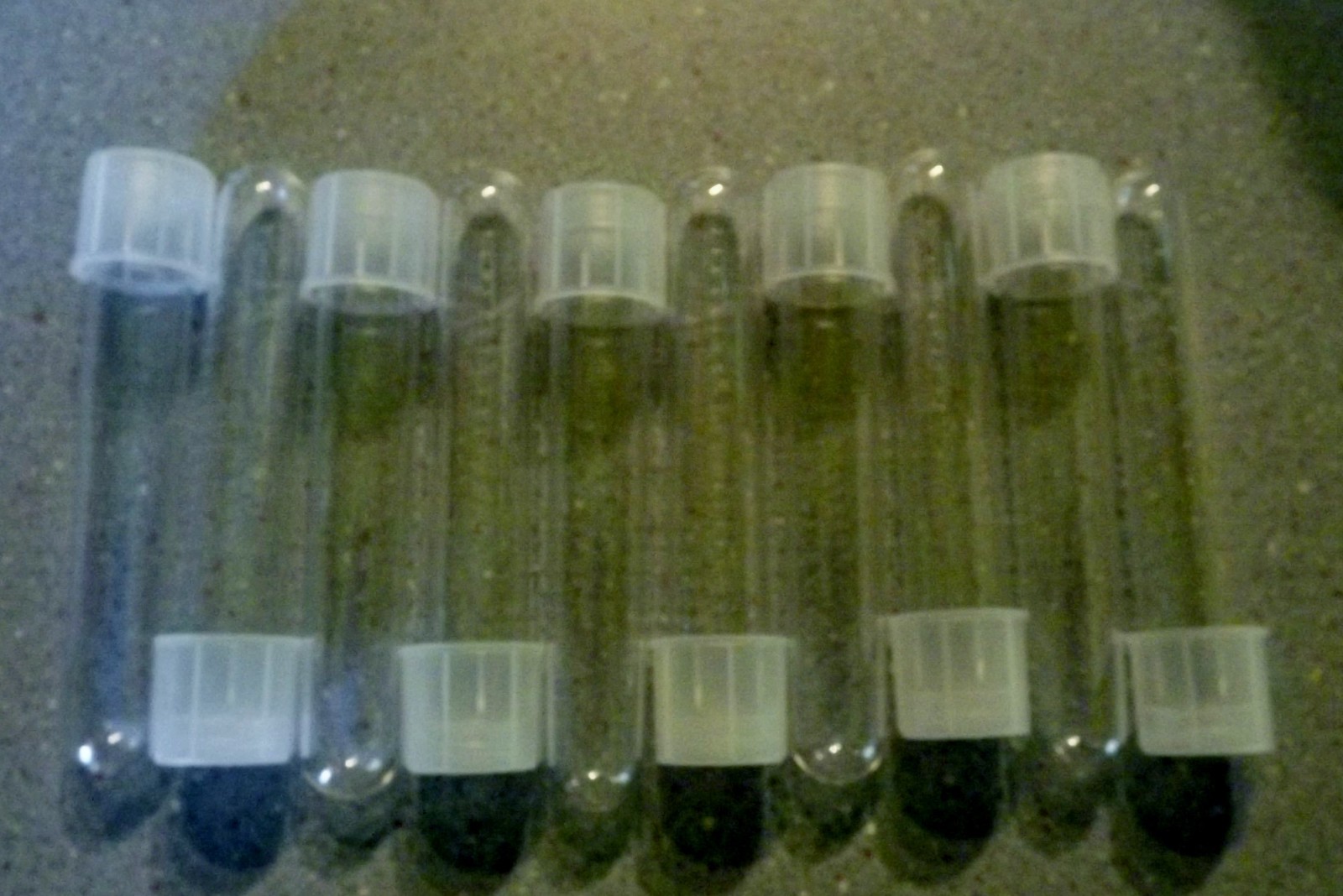 BD Falcon 14 ml Polystyrene Round Bottom Tubes with Snap Caps – pk. of 20 SALE!!