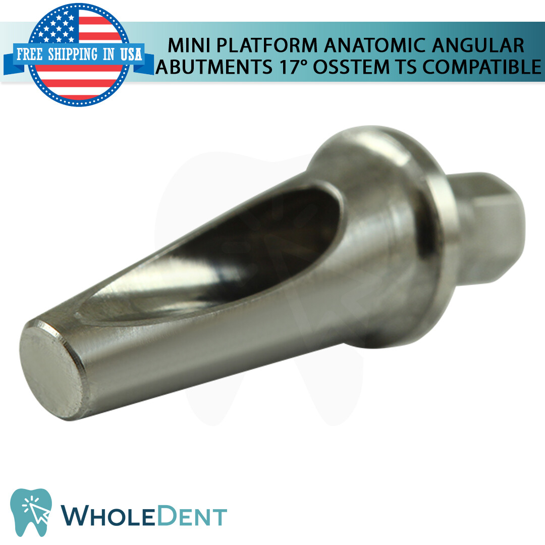 1X Mini Angled Anatomic Abutment 17° Titanium Dental Osstem® TS Compatible