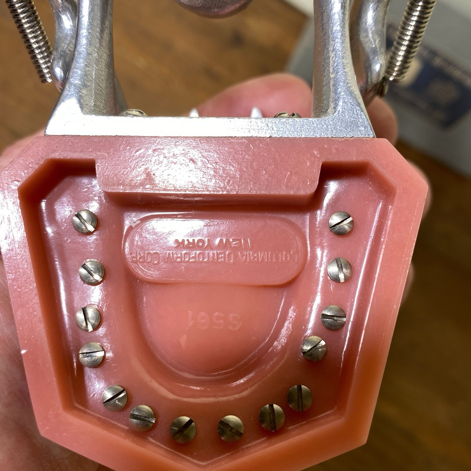 VTG Colombia Dentoform Dental Articulator Model Teeth Dentist Lab Tool Medical
