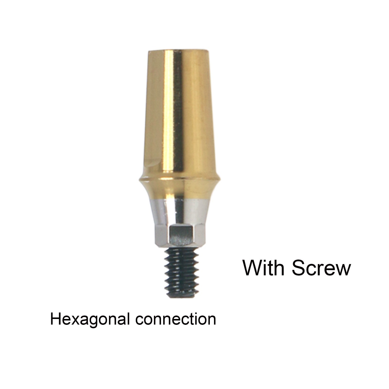 US Titanium Mini/Regualr Straight Transfer Dental abutment for Crown Hiossen ET