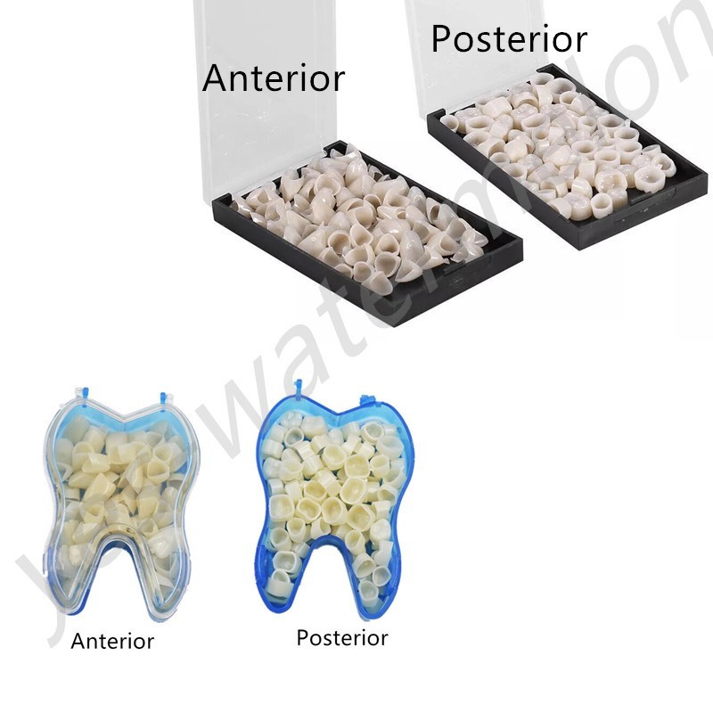 4 Types Dental Oral Temporary Crowns Resin Teeth Tooth Polycarbonate Caps Box