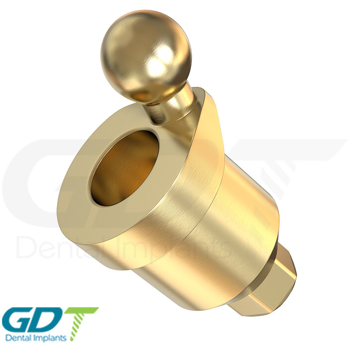 Angulated 18° Standard Silicone Ball Attachment Set Int Hex Dental
