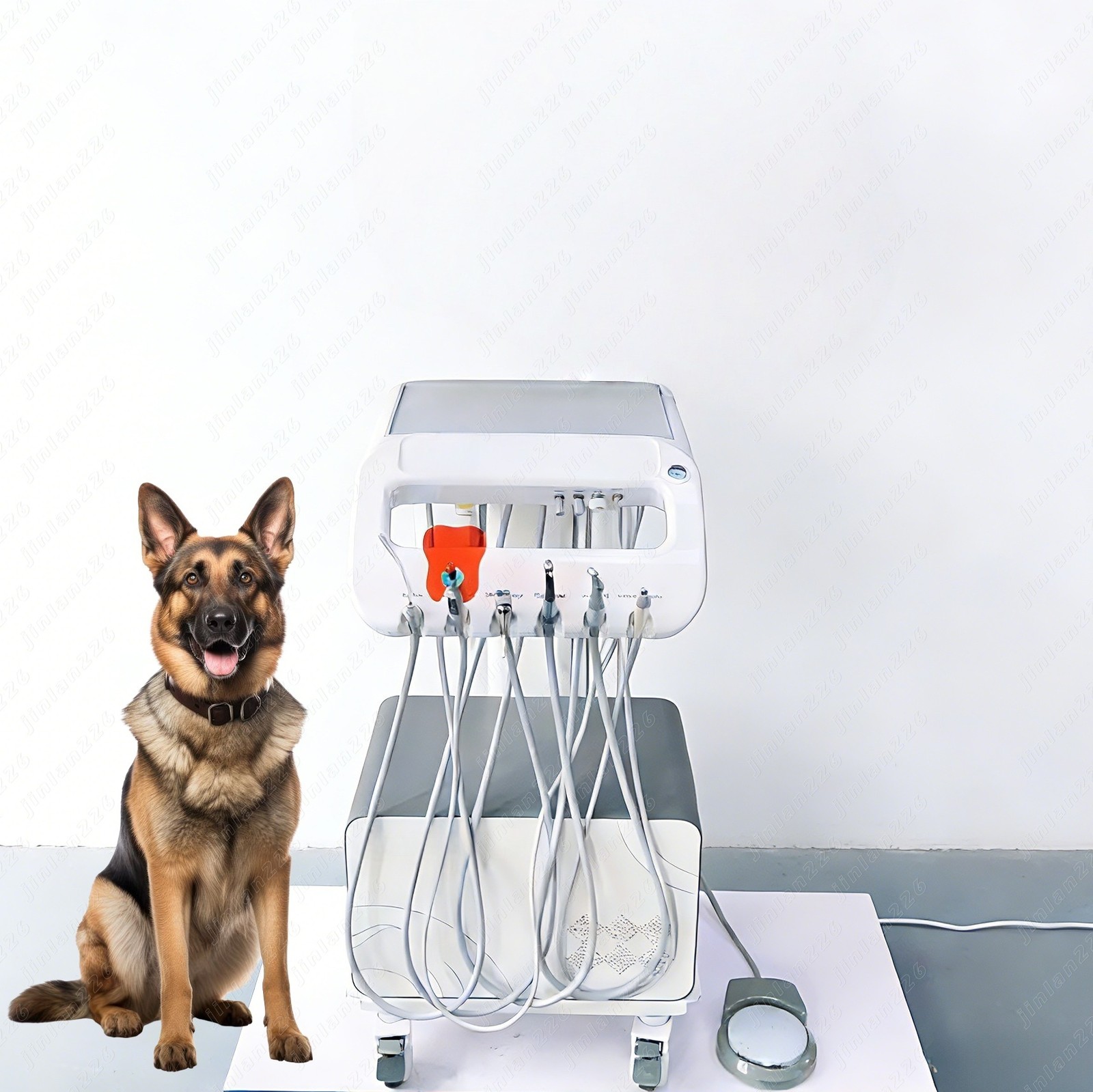 Veterinary Dental Unit with Foot Control Portable for Animal Oral Care &Cleaning