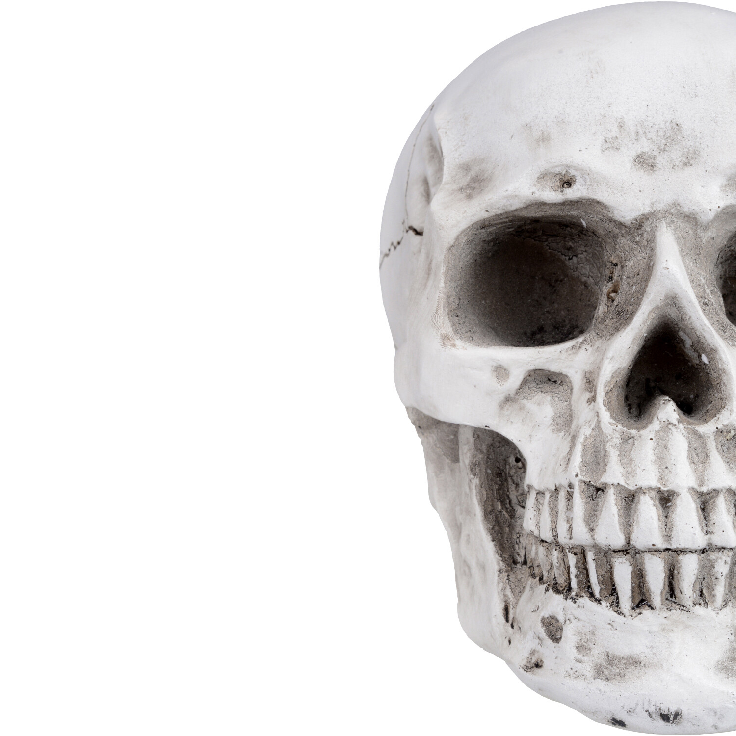 1:1 Retro Human Skull Replica Resin Anatomical Model Medical Life Size Realistic