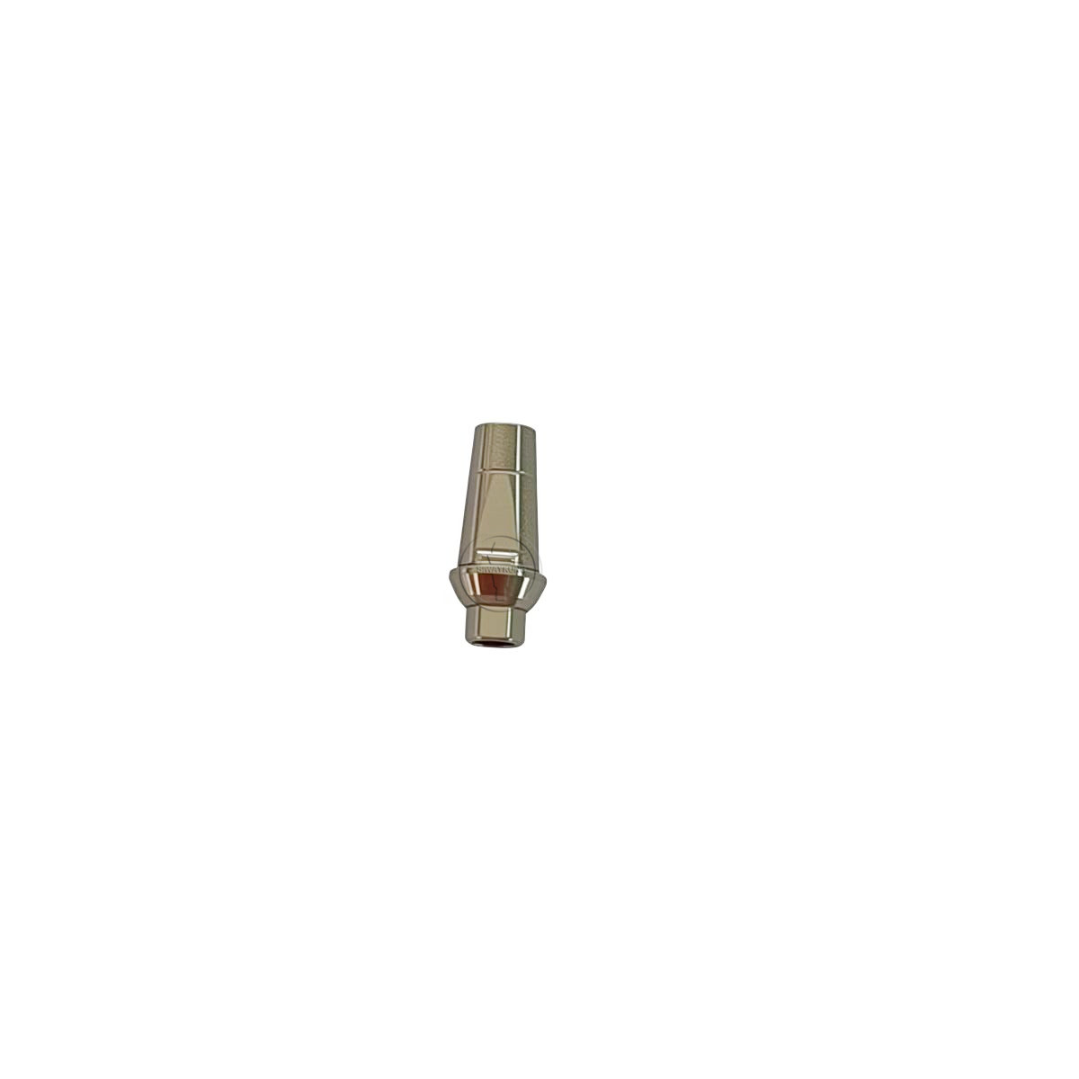 10 pcs Straight abutment ti abutment with screw fit to MIS Seven NP