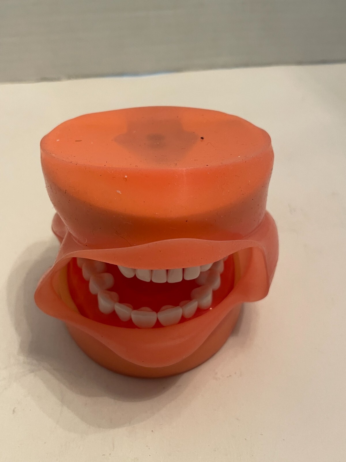 DENTAL Typodont Model 200 with Removable Teeth Kilgore Nissin Type