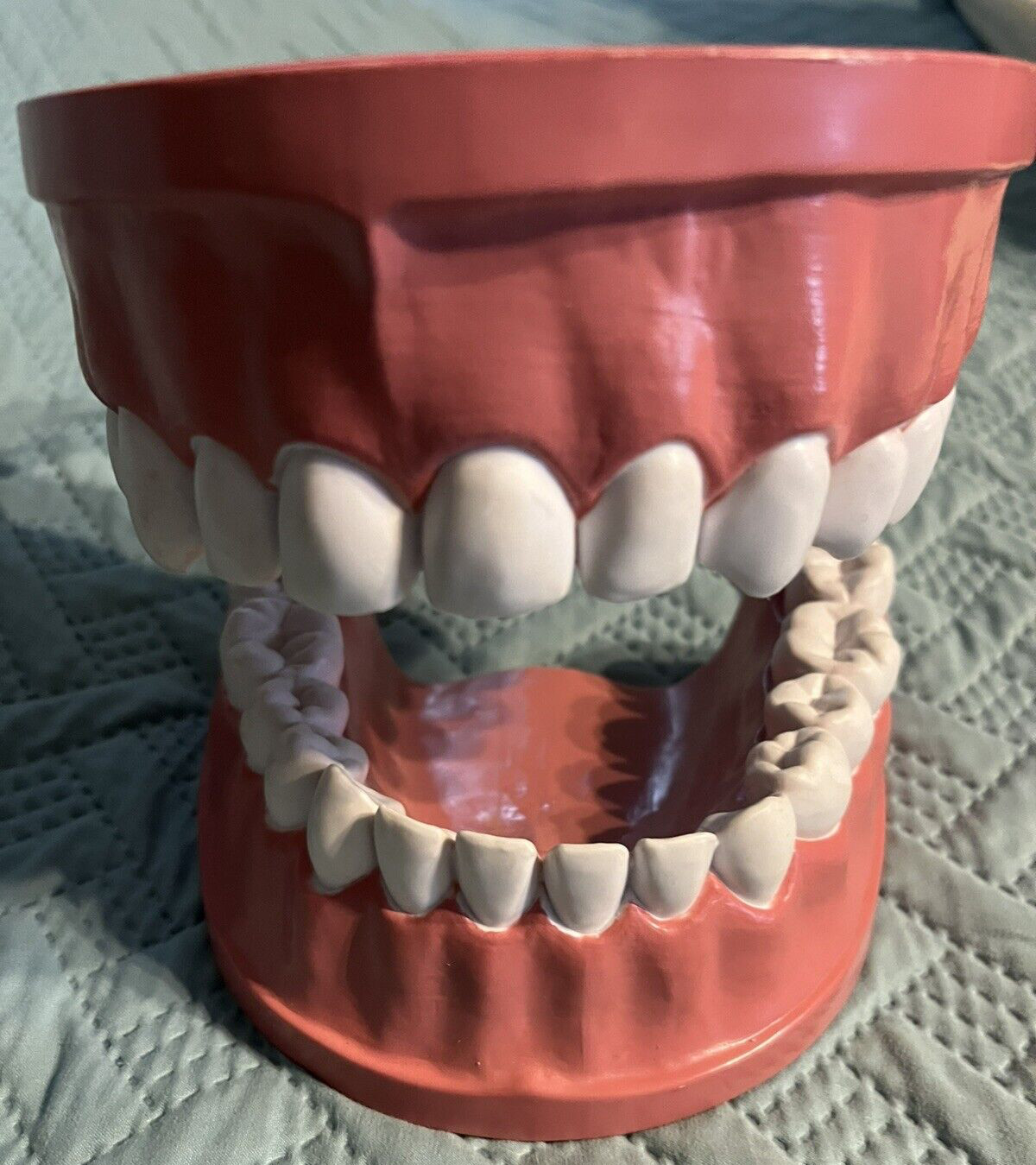 Giant teeth model for hygenist teaching how to brush.