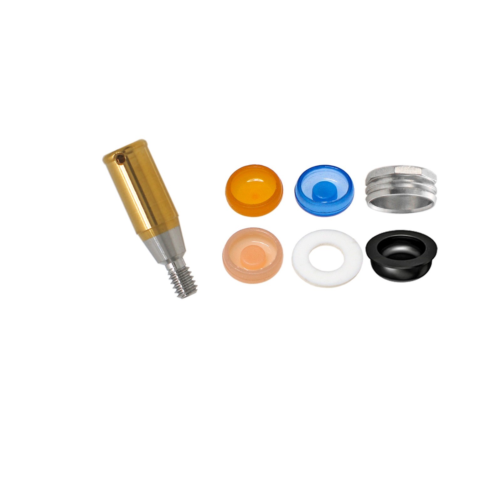 US Locator Abutments Straight/Angulated 17°Abutment For DIO UF Regular Implants