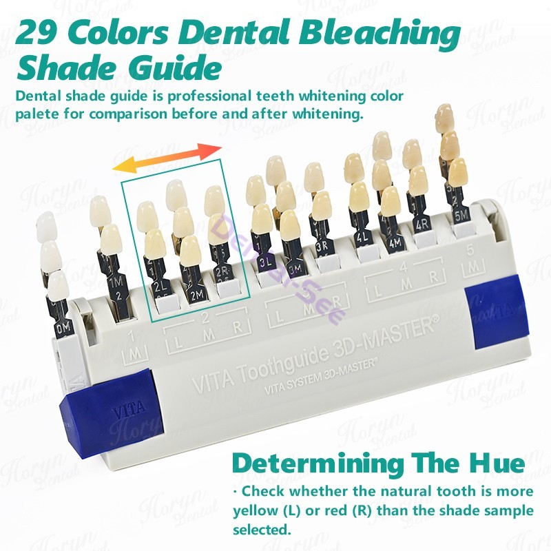 Dental VITA Toothguide 3D Master with Bleached Shade Guide Resin 29 Colors