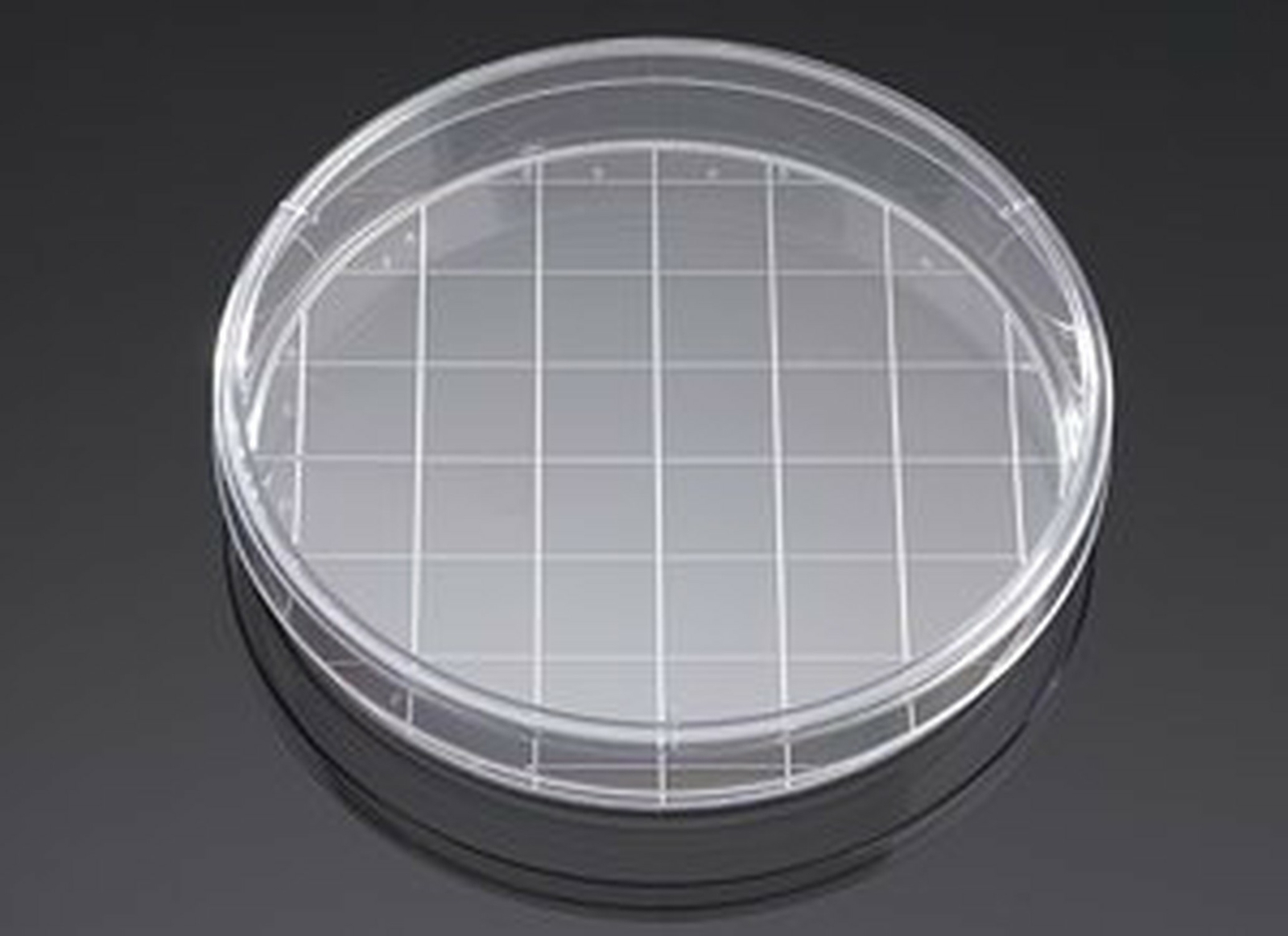 Corning – Falcon 150 mm Cell Cult Dish w/20mm Grid, TC-TRE Ated, Str, CS100