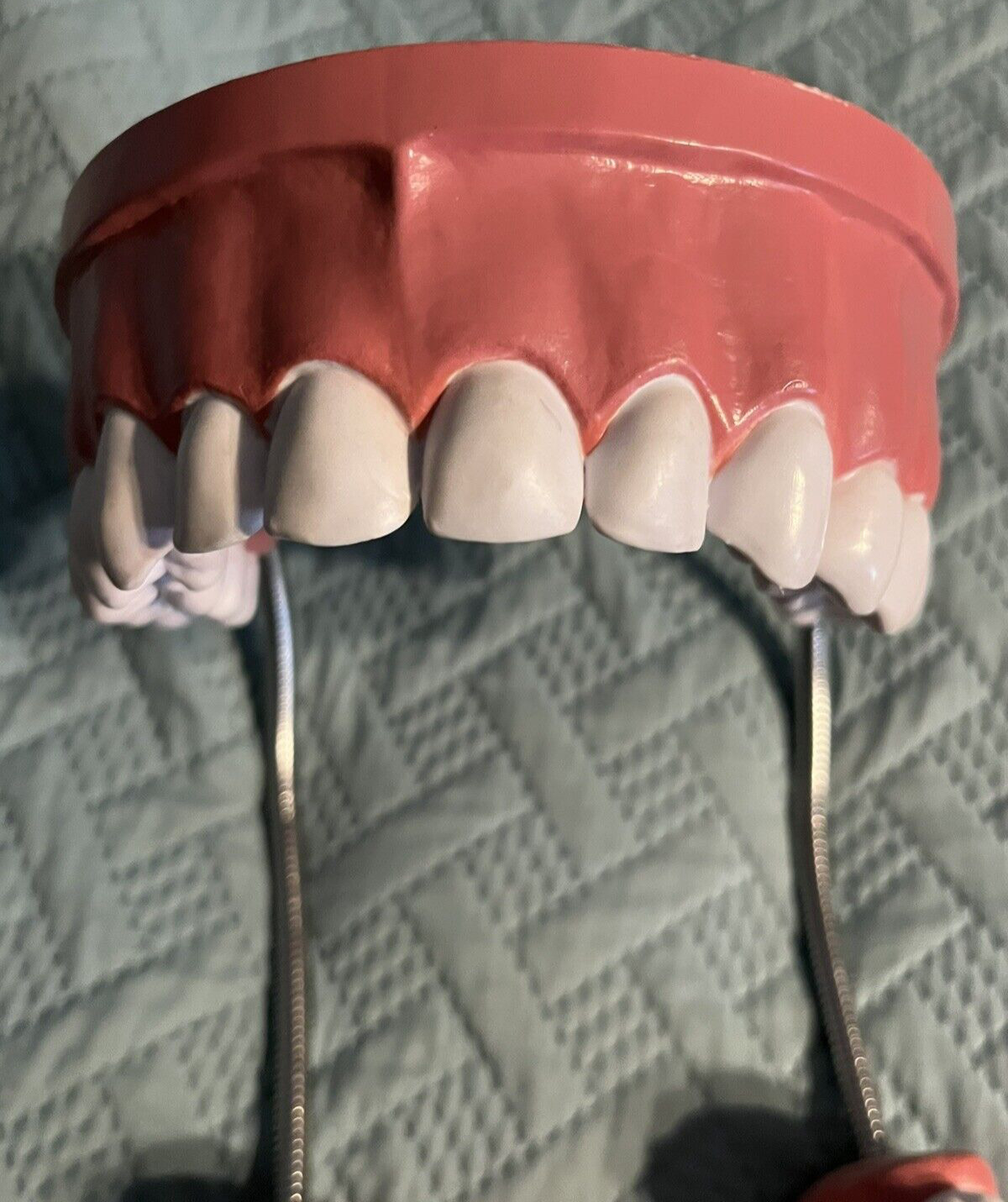 Giant teeth model for hygenist teaching how to brush.