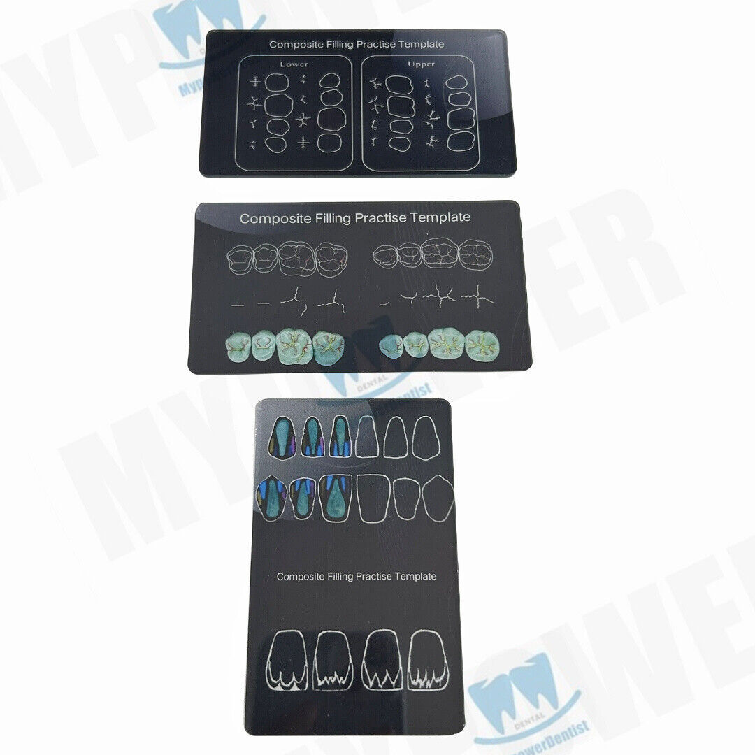 Dental Cavity Preparation/Vitro Decay Caries Model/Composite Resin Filling Model