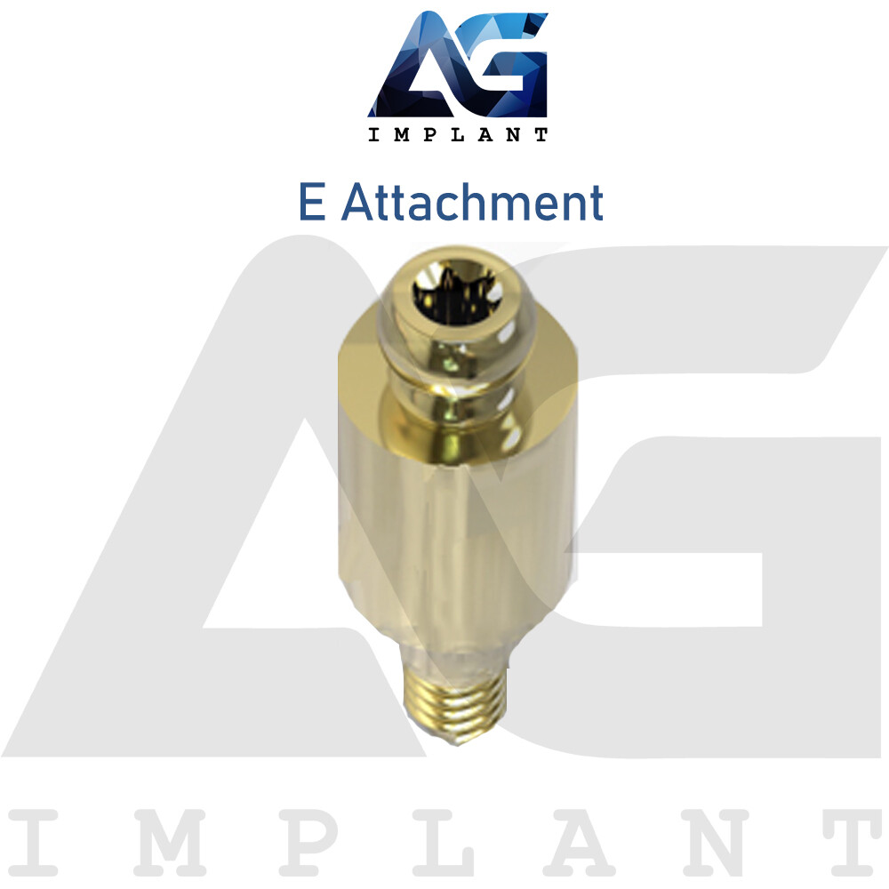 Straight E Attachment Standard Set Titanium Overdenture Int Hex