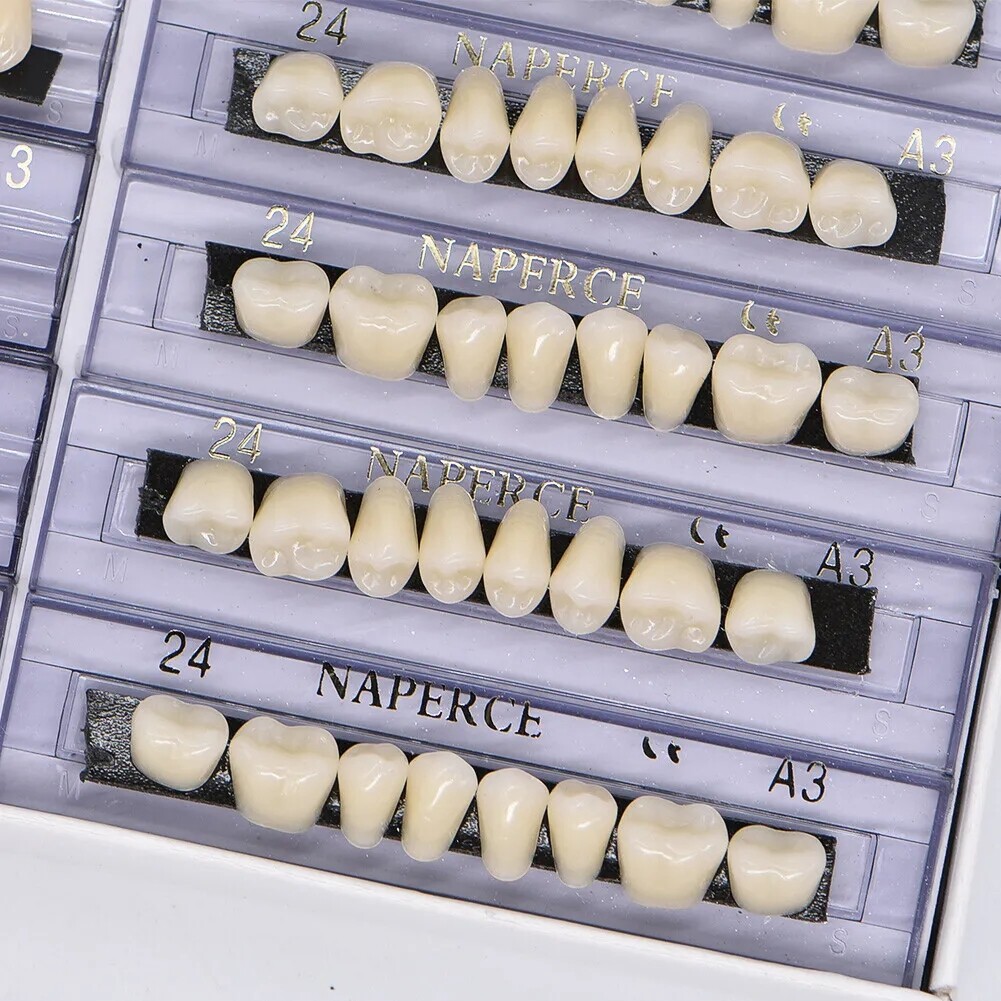 168X Acrylic Resin A1/A2/A3 Dental Denture Teeth Upper Lower Shade 22/23/24# USA