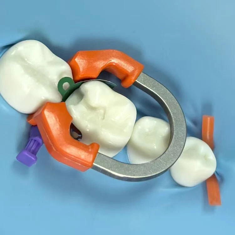 Dental Sectional Refills Matrix Matrice Bands Clamp Fit Garrison Palodent System