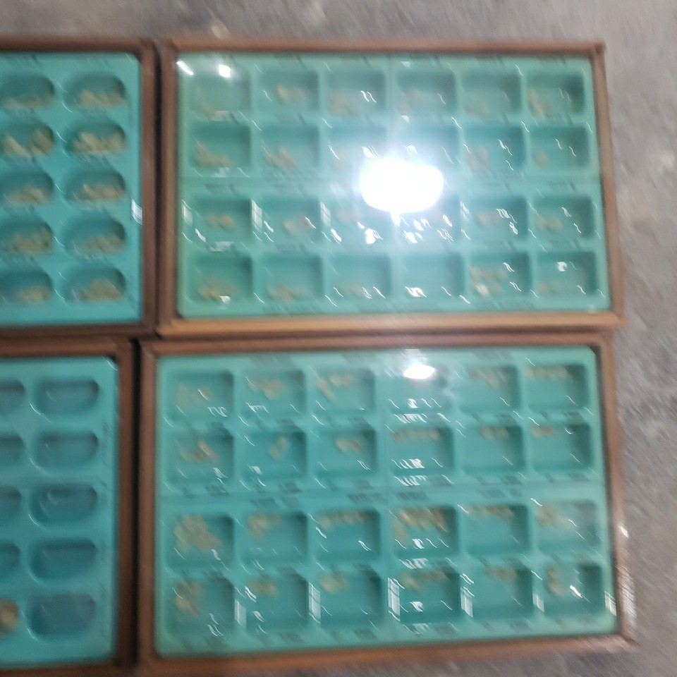 Dental Wood Cabinet With 100’s of Polycarb & Transparent Plastic Crown Forms