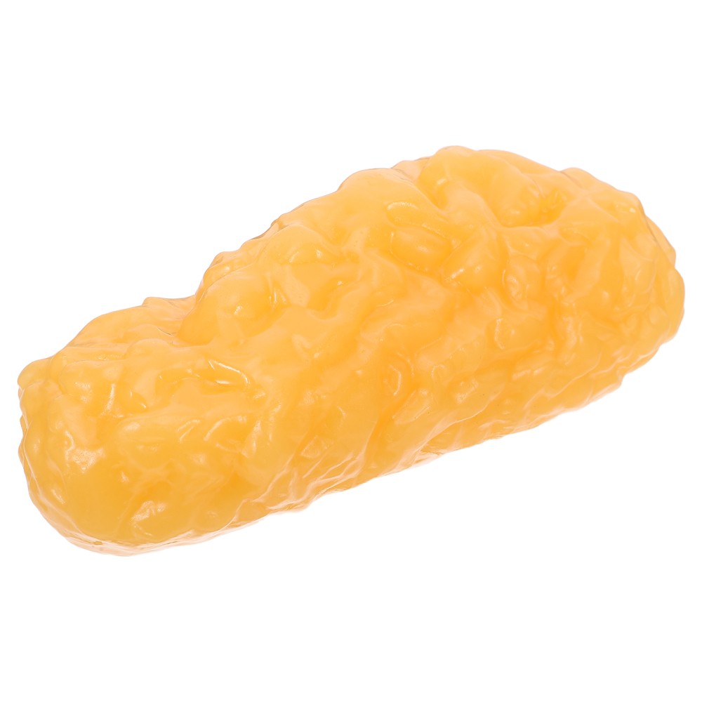Human Body Fat Model Display Tool Tissue