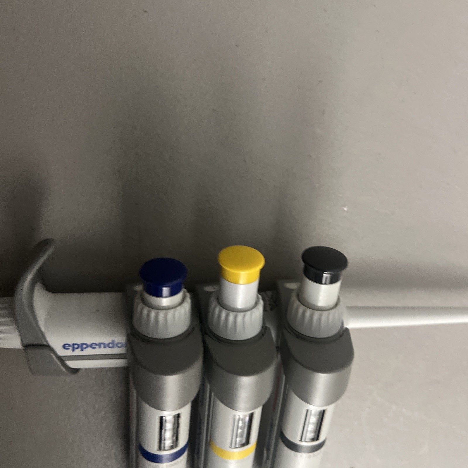 NICE Set of 4 Eppendorf Research Plus Pipette 2.5,20,200,1000uL Pipetman