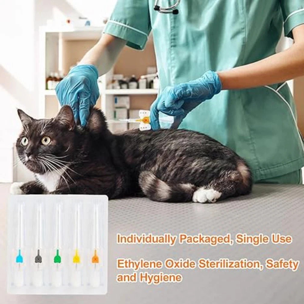 Practical 10/50pcs Disposable Catheter Cannula with Wing for Pet Dog Cat Animals