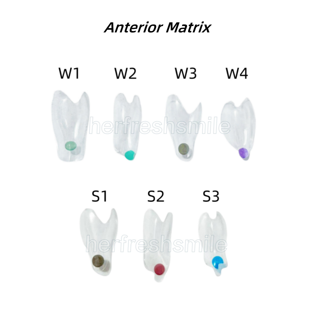 Dental Clear Matrix Transparent Restoration BT Bow Matrices Contoured BioClear