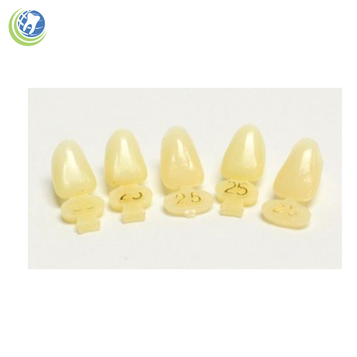 Tooth #10 Upper Left Lateral (ULL) Polycarbonate Temporary Crowns Cap Refills