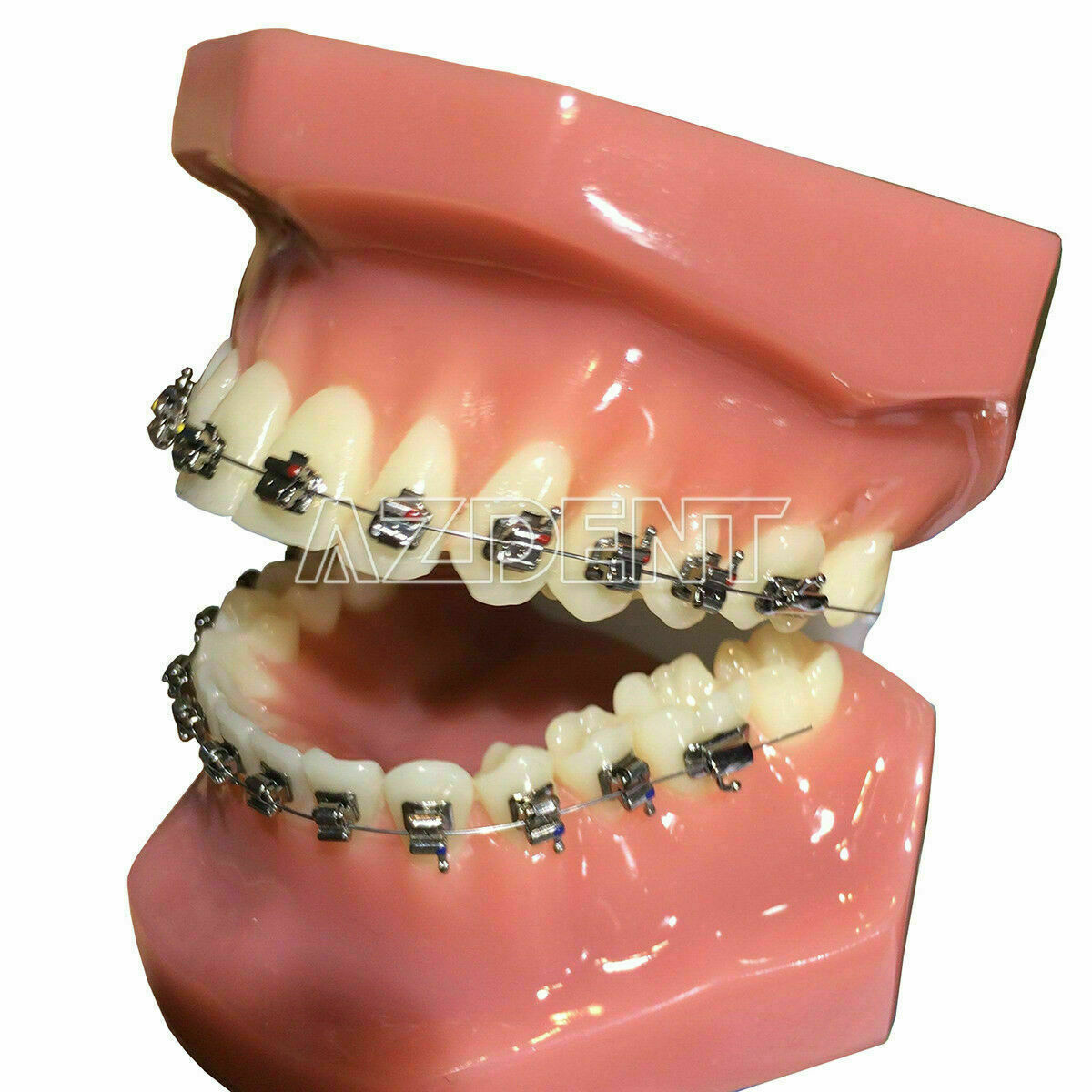 AZDENT Dental Ortho Brackets Brace Self-Ligating Active Mini Roth 022 Hooks 345