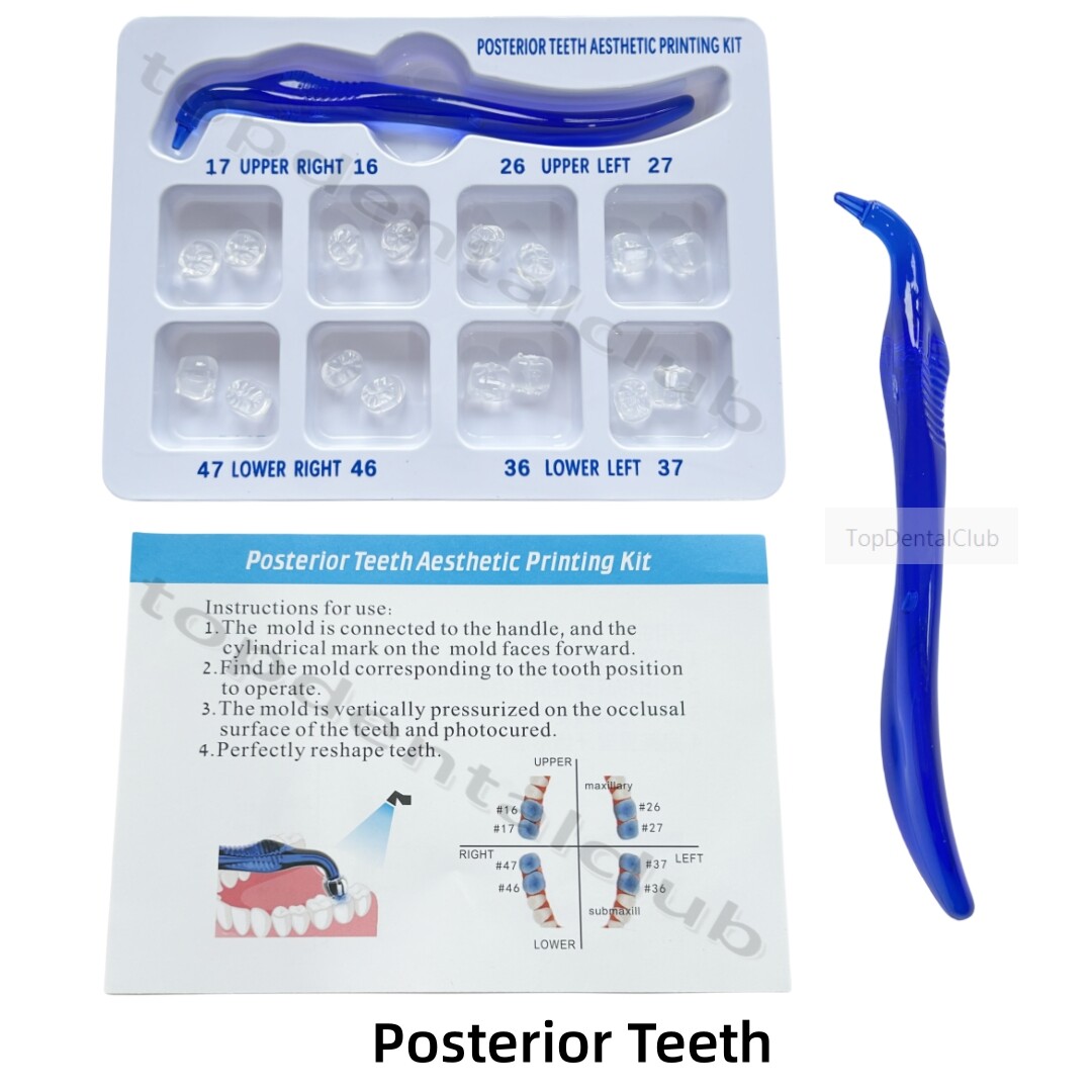 Dental Aesthetic Printing Restoration Filling Tool Anterior Posterior Teeth