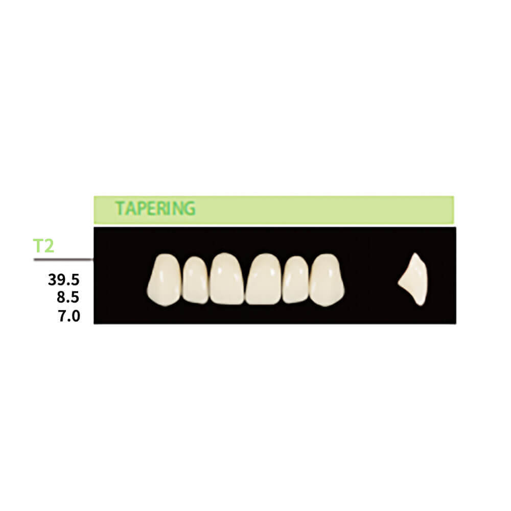 16 Cards Dental Synthetic Polymer Resin False Teeth Denture 6Pcs/card