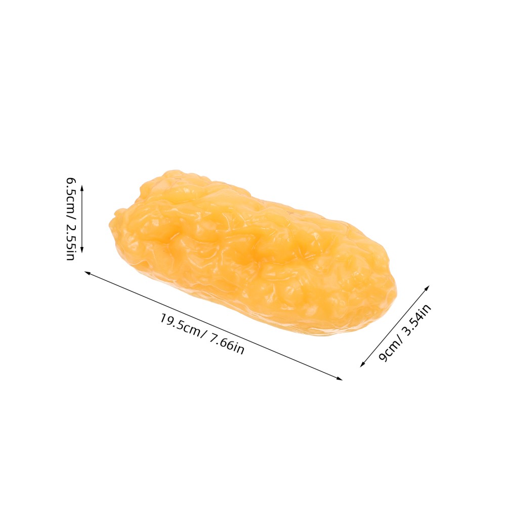 Human Body Fat Model Display Tool Tissue