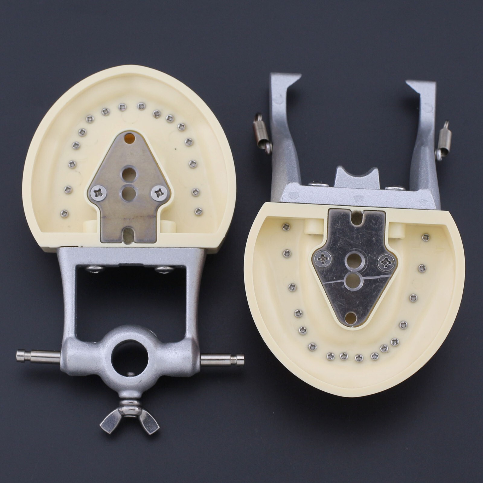Dental Typodont Training Model Columbia Kilgore Nissin Mounting Pole 28 32 Teeth