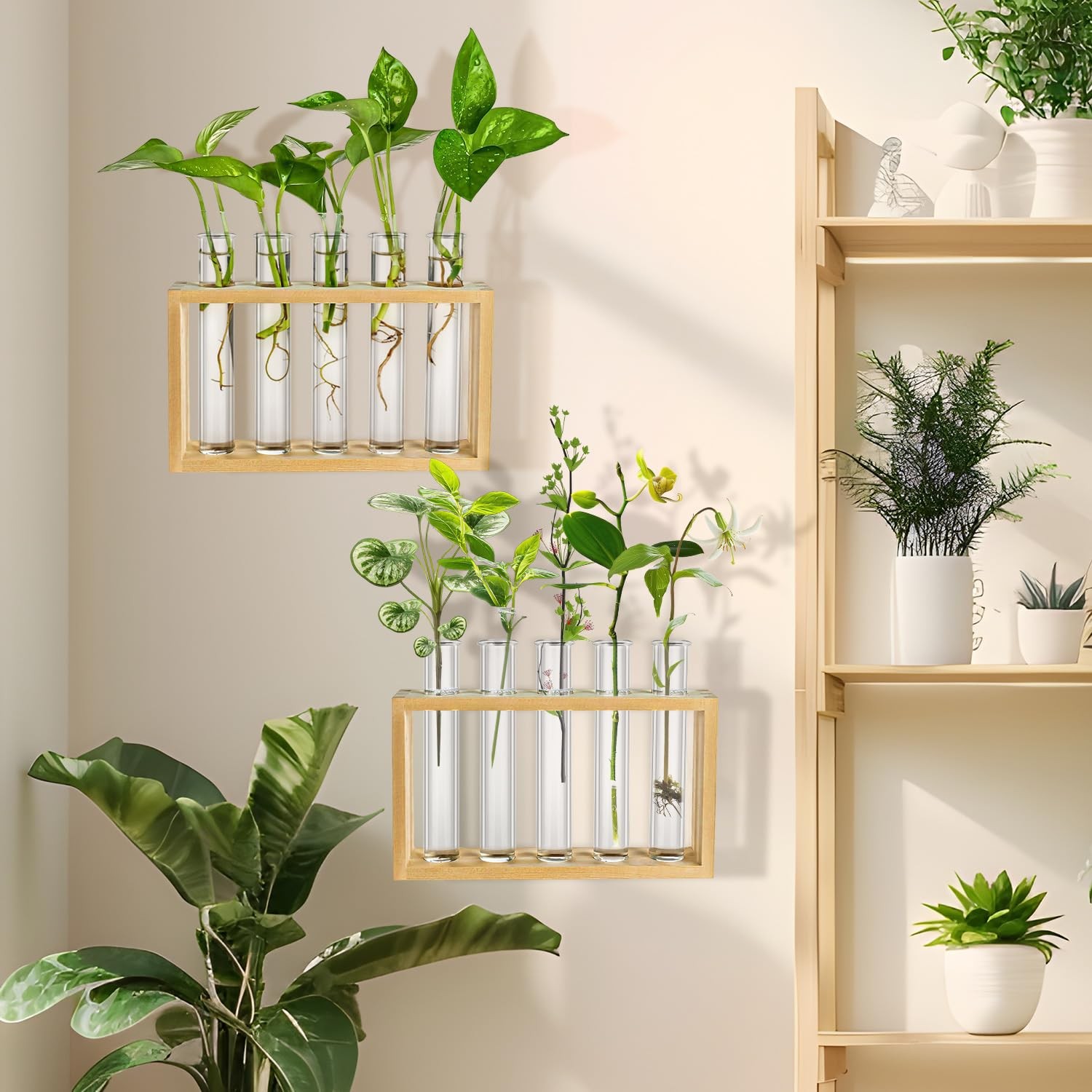20 PCS Clear Test Tubes Plant Propagation 20ml Scientific Experiments Decor