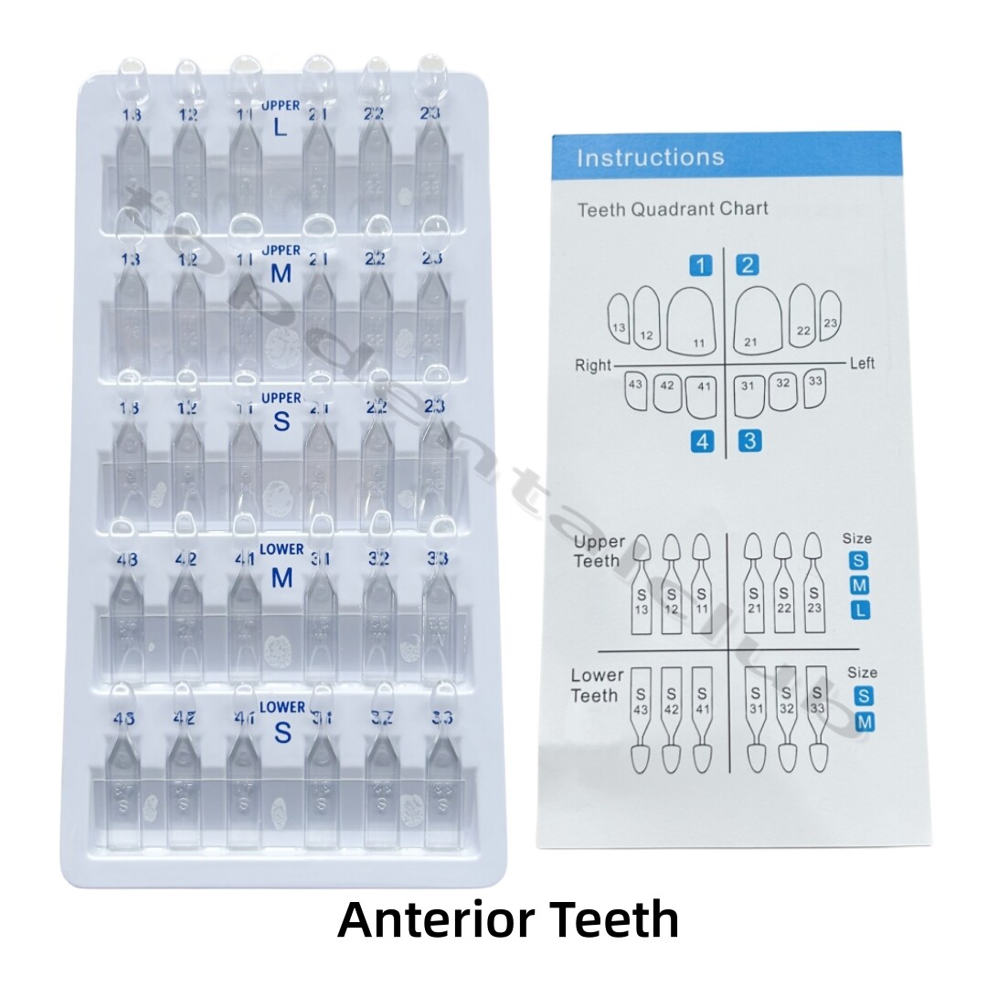 Dental Aesthetic Printing Restoration Filling Tool Anterior Posterior Teeth