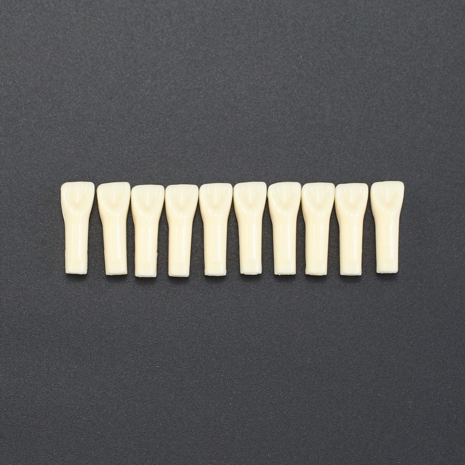 Dental Typodont Kilgore Nissin 200 Model Teeth Replacement Tooth UR1 UL1 LR6 LL6