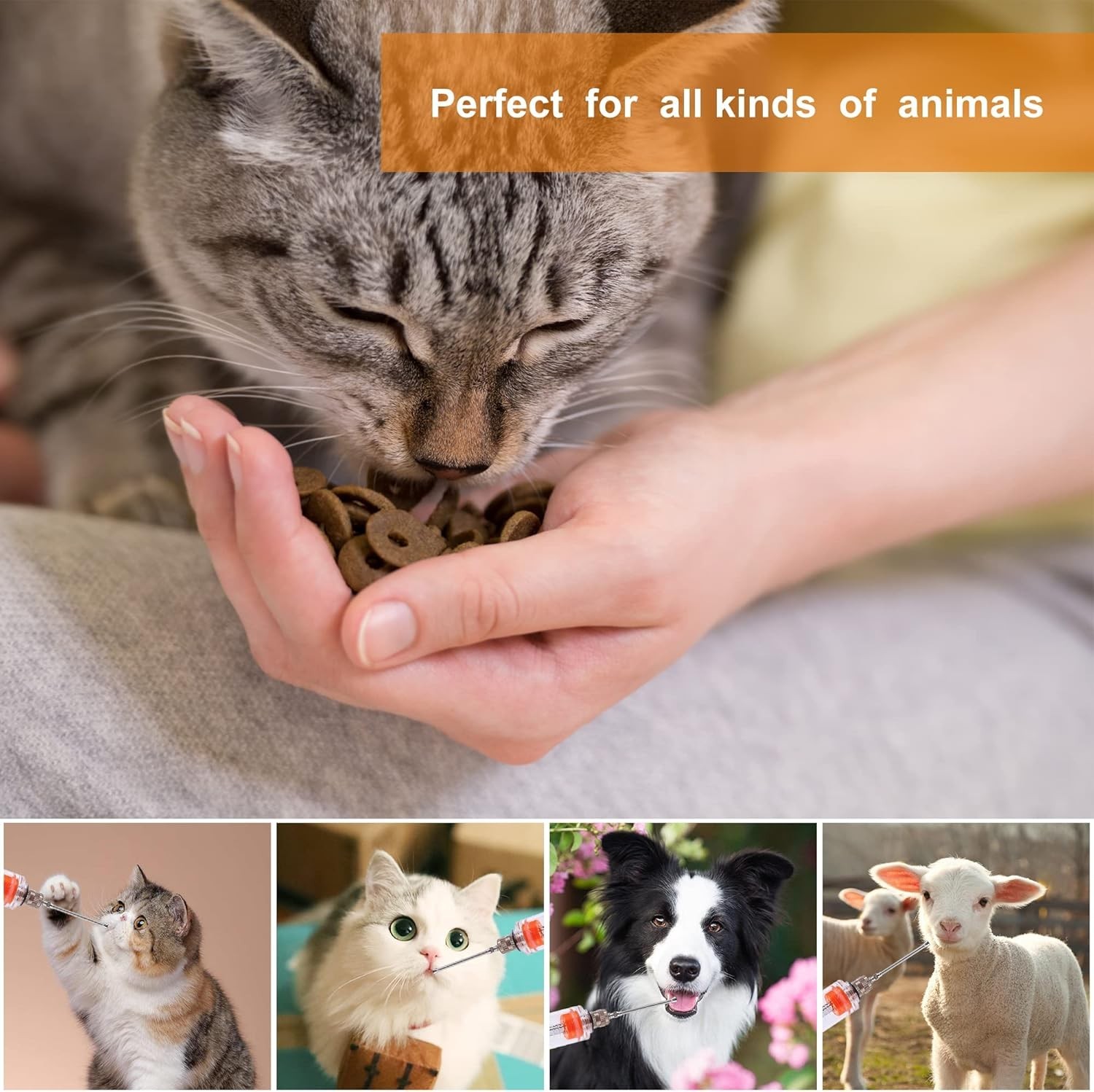 20ml Veterinary Drenching Syringe – Adjustable Dosage with 2 Nozzles for All …