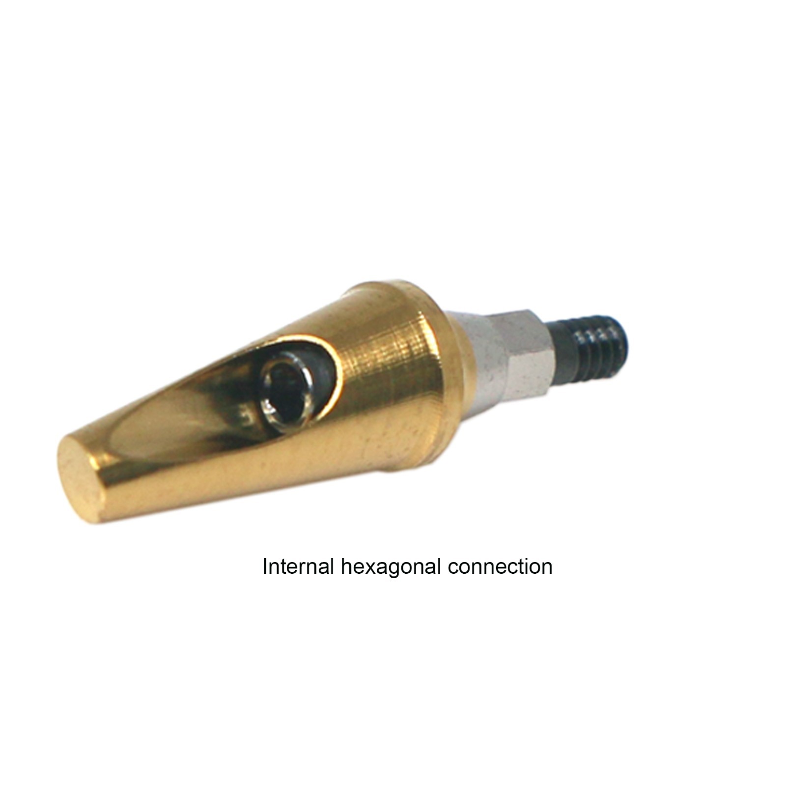 Dental Straight 17° Angulated Abutment W/Screws For DIO UF Regular Hex Platform