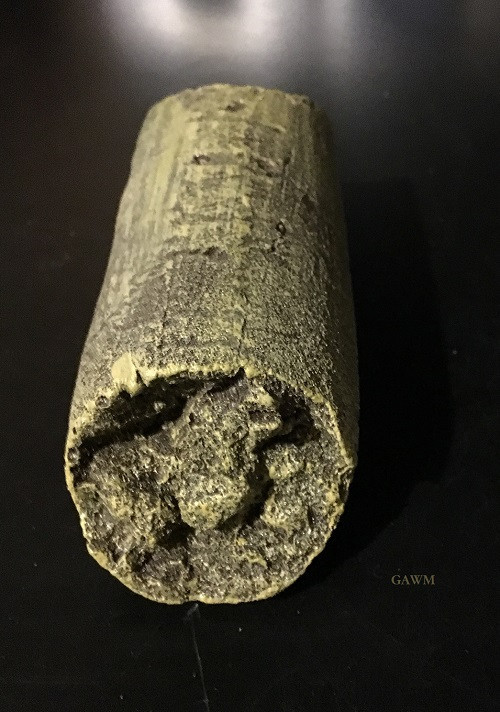 Castelnau Giant Femur Fragment / 11.5 foot giant human replica. Museum Artifact