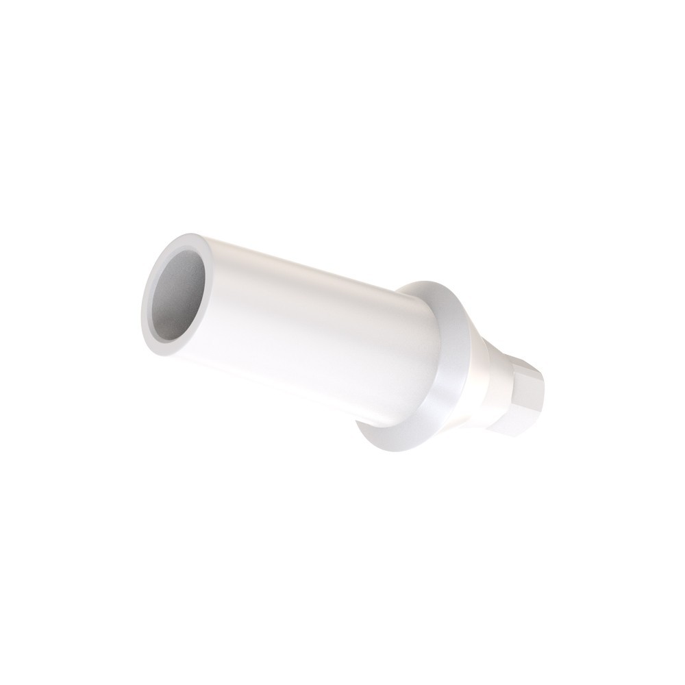 1pcs DSl Straight Abutment Anatomic Peek Conical Connection NP Dental Lab