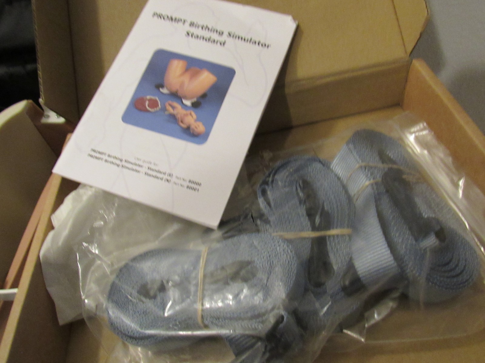 Limbs & Things PROMPT Birthing Simulator Force Monitoring Teaching Pelvis & Baby