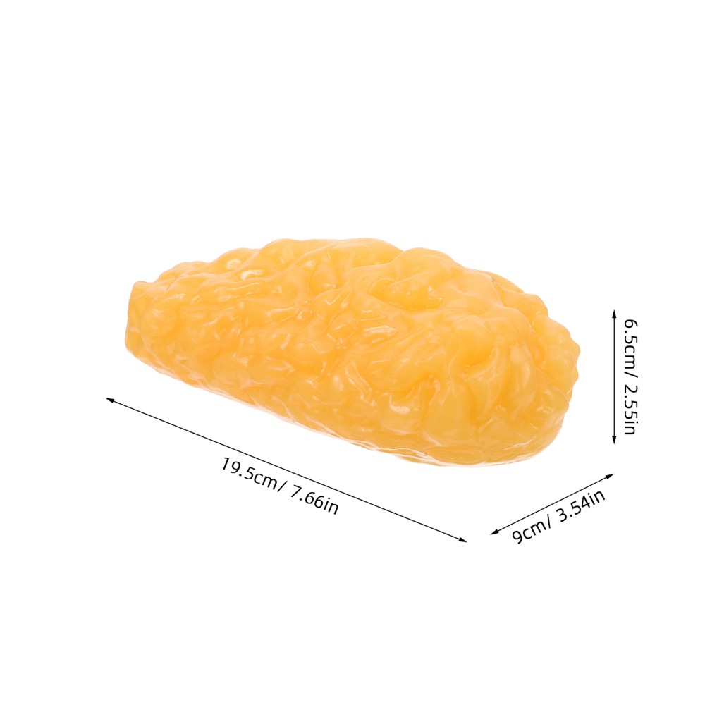 Human Body Fat Model Display Tool Tissue