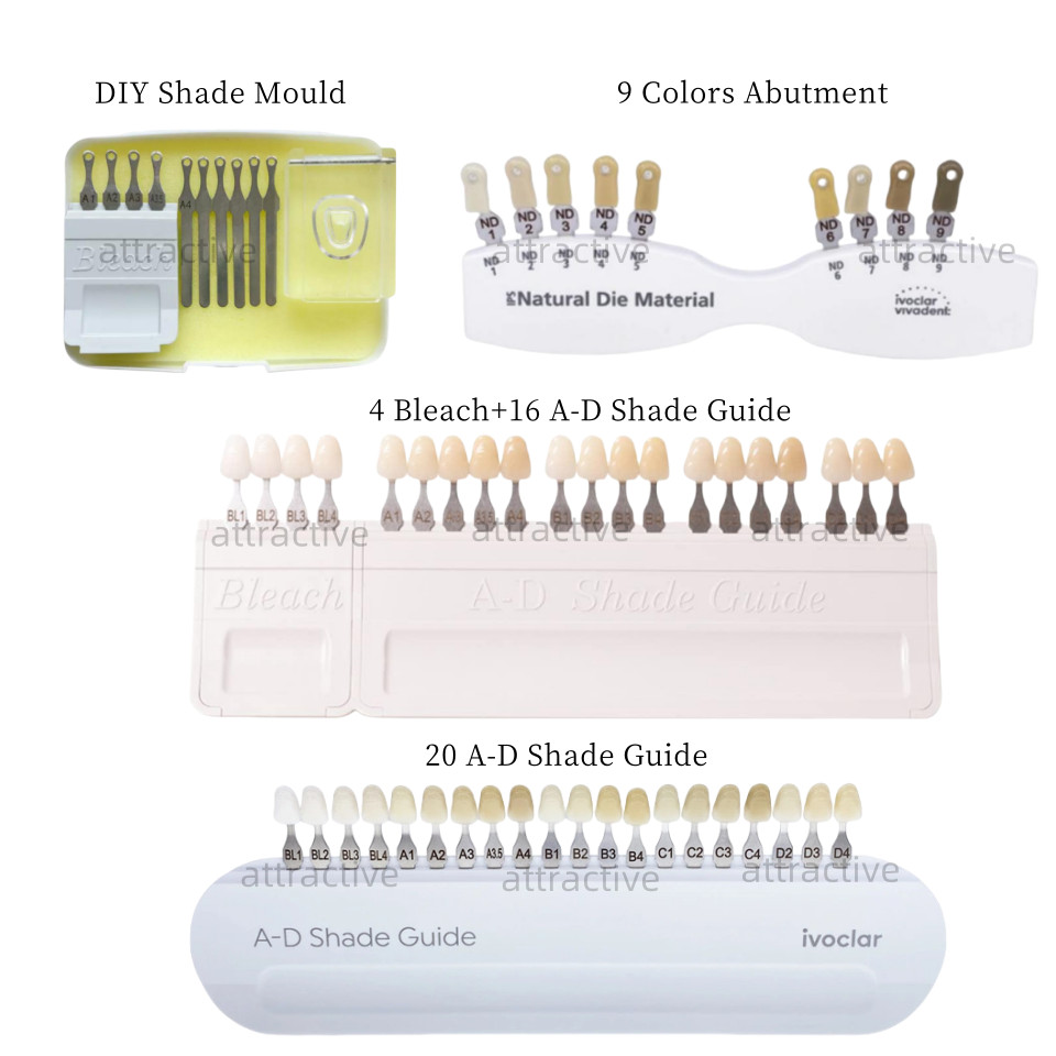 Dental lvoclar 20 Color A-D Shade Guide Bleach Natural Die Veneer Template