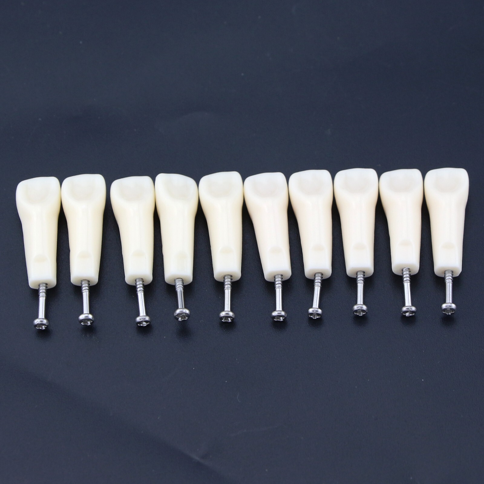 Dental Typodont Teeth fit Nissin Kilgore 200 Model with 32 Teeth UR6 UL6 LL6 LR6