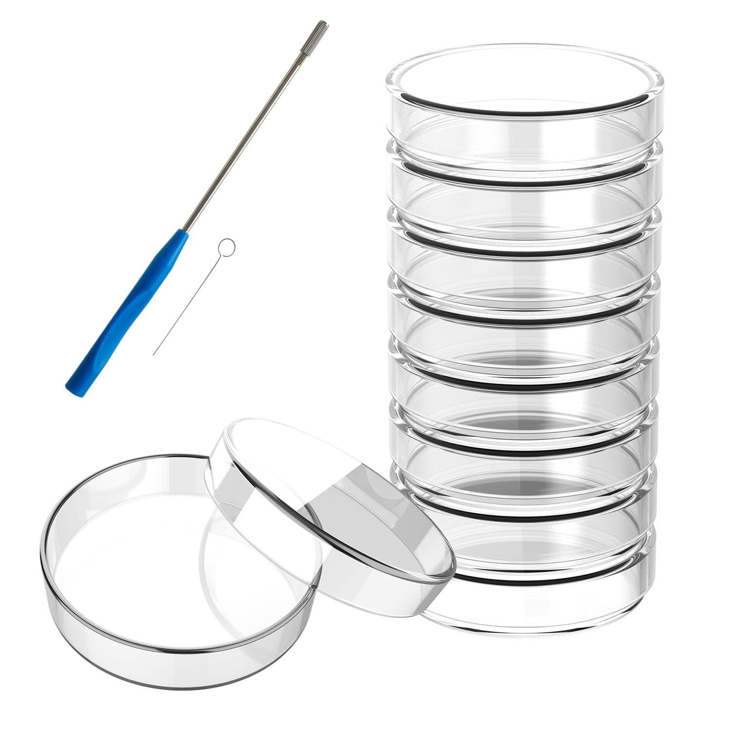 60mm Glass Petri Dish Lab Petri Plates Dishes Reusable w/ Lids Autoclavable US