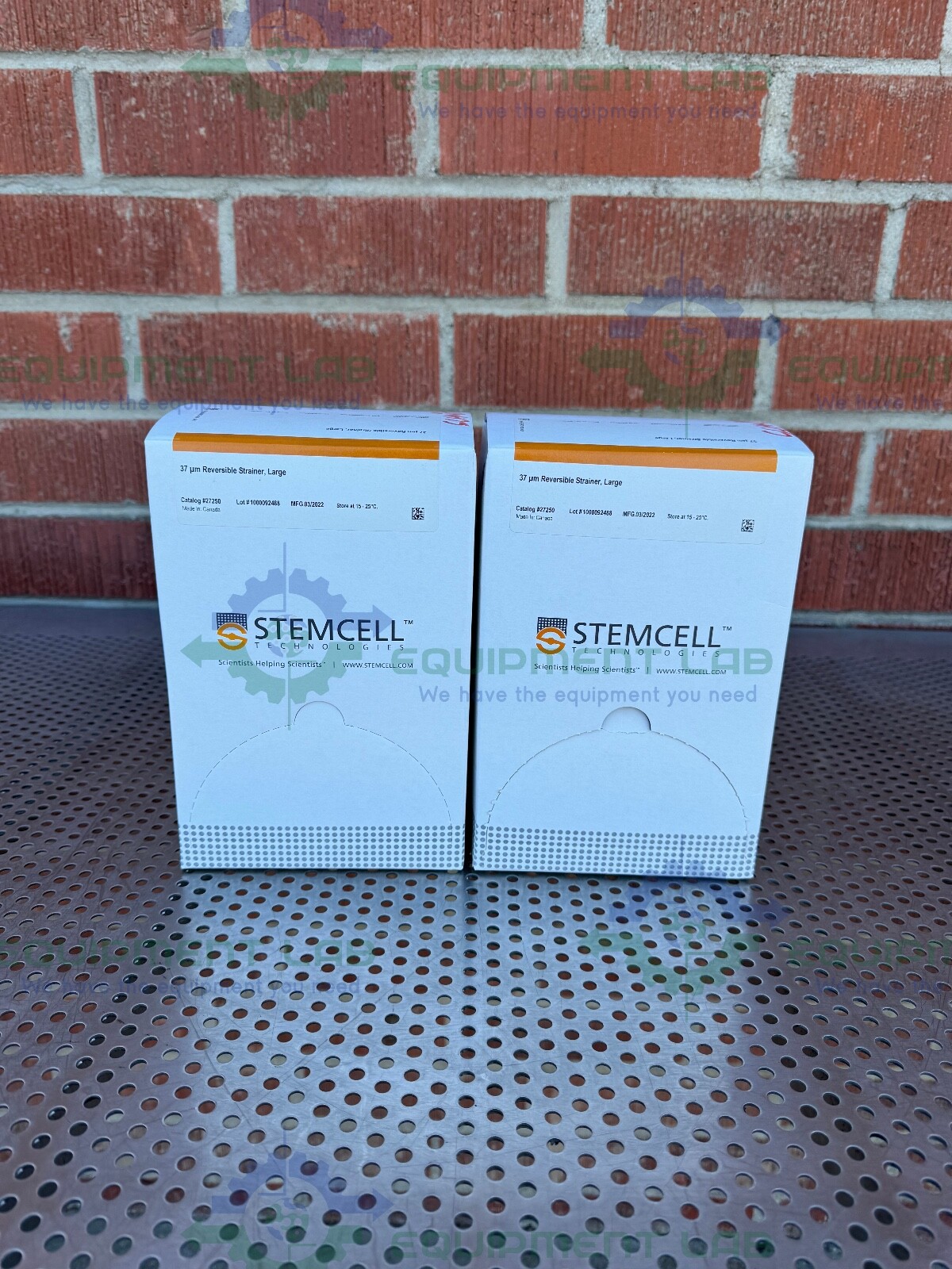 2 Boxes of – Stemcell Technologies 27250 Reversible Strainer, Large 37 µm