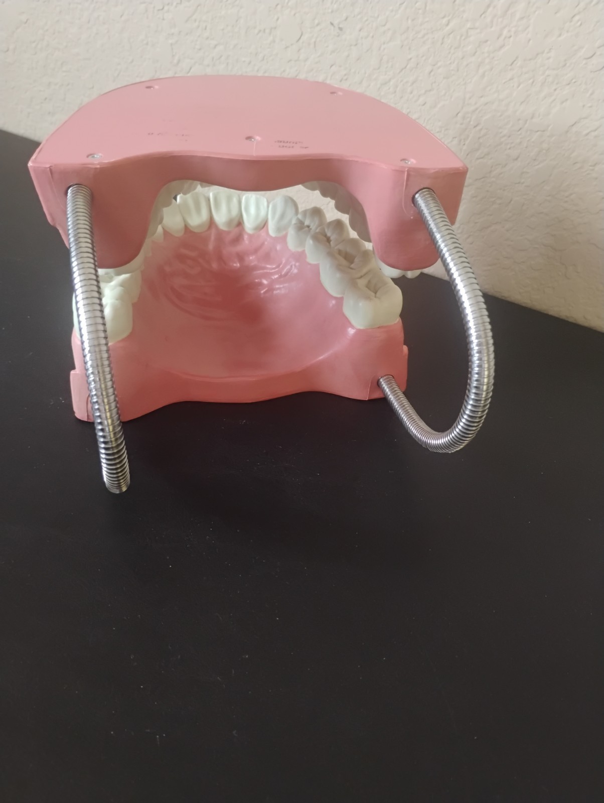 Large Anatomical Dental Model with Flexible Hinges for Educational Demonstration