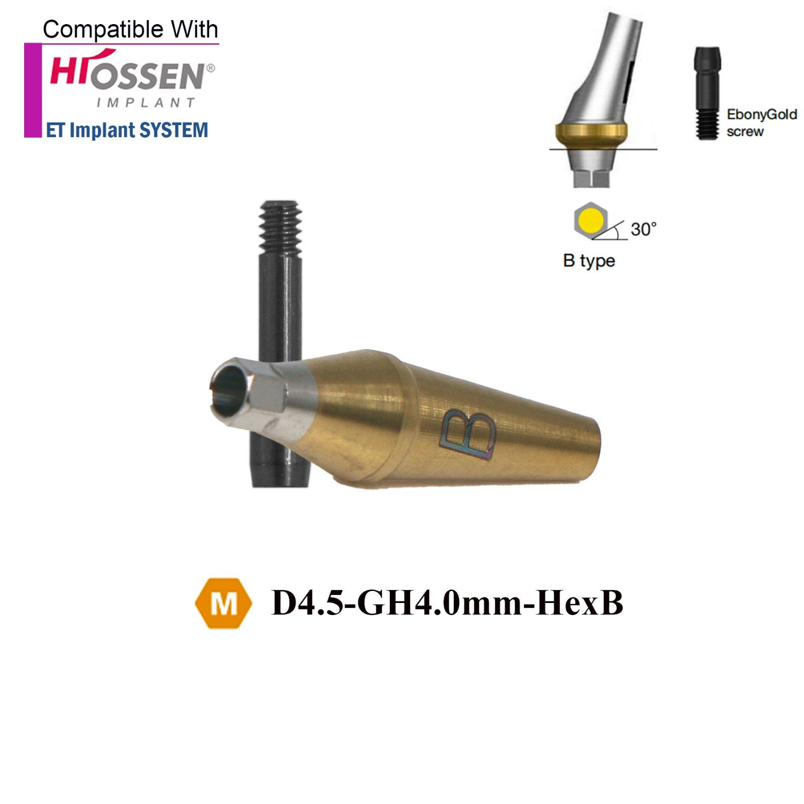 US Dental 17° Angled Anatomic Abutment Mini /Regular Fits Hiossen Osstem TS