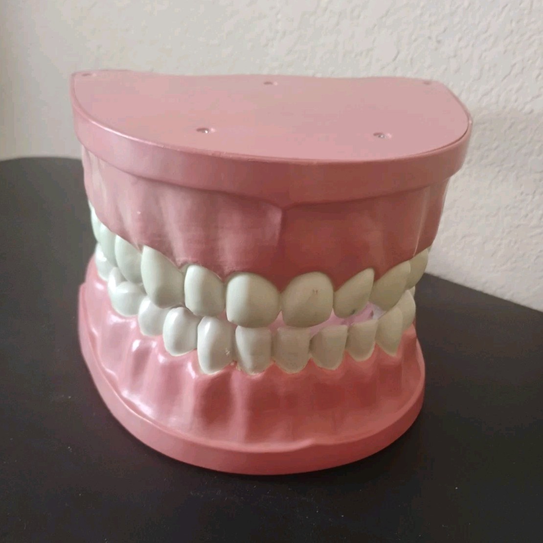 Large Anatomical Dental Model with Flexible Hinges for Educational Demonstration
