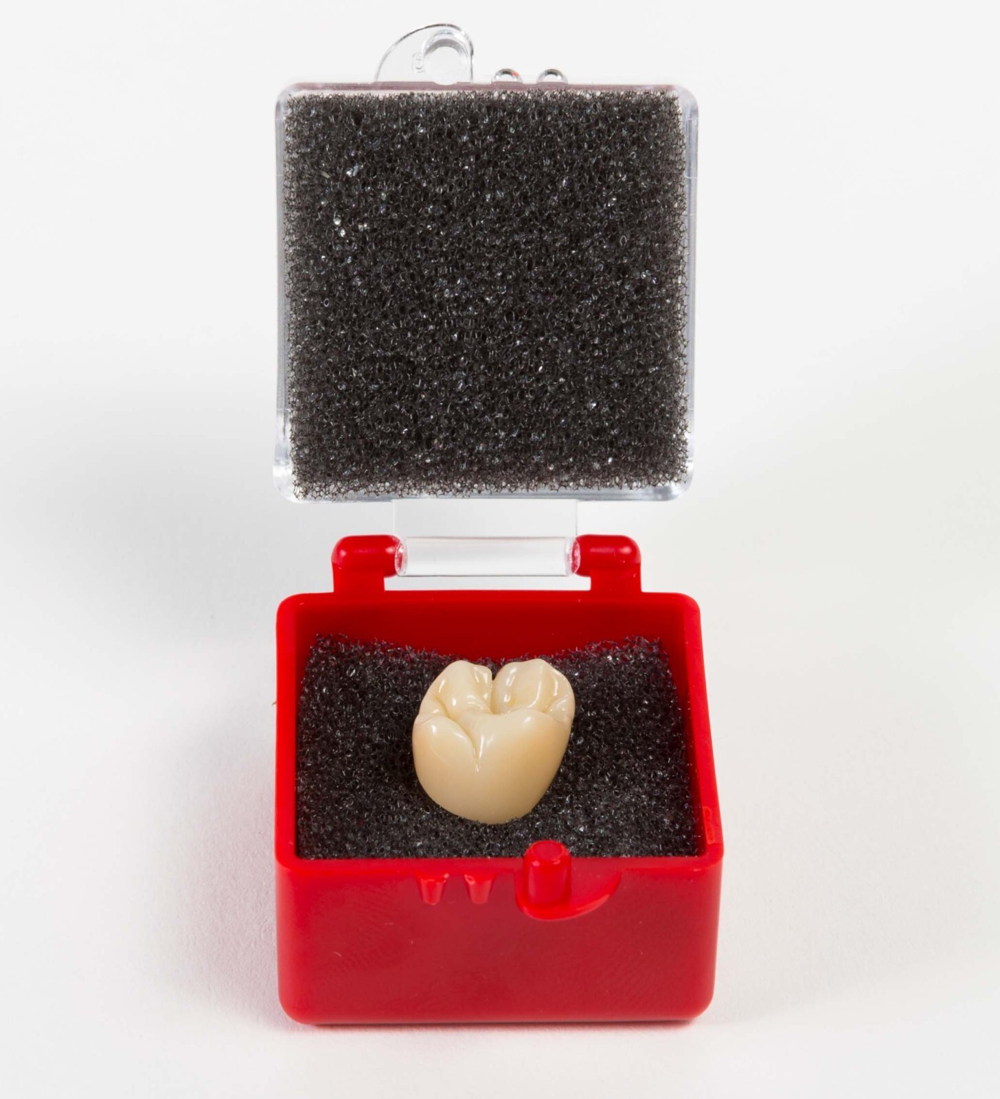 1″ Rigid Crown Box Pre Packed with Foam, Red/Clear 1000 Pcs Made in The USA
