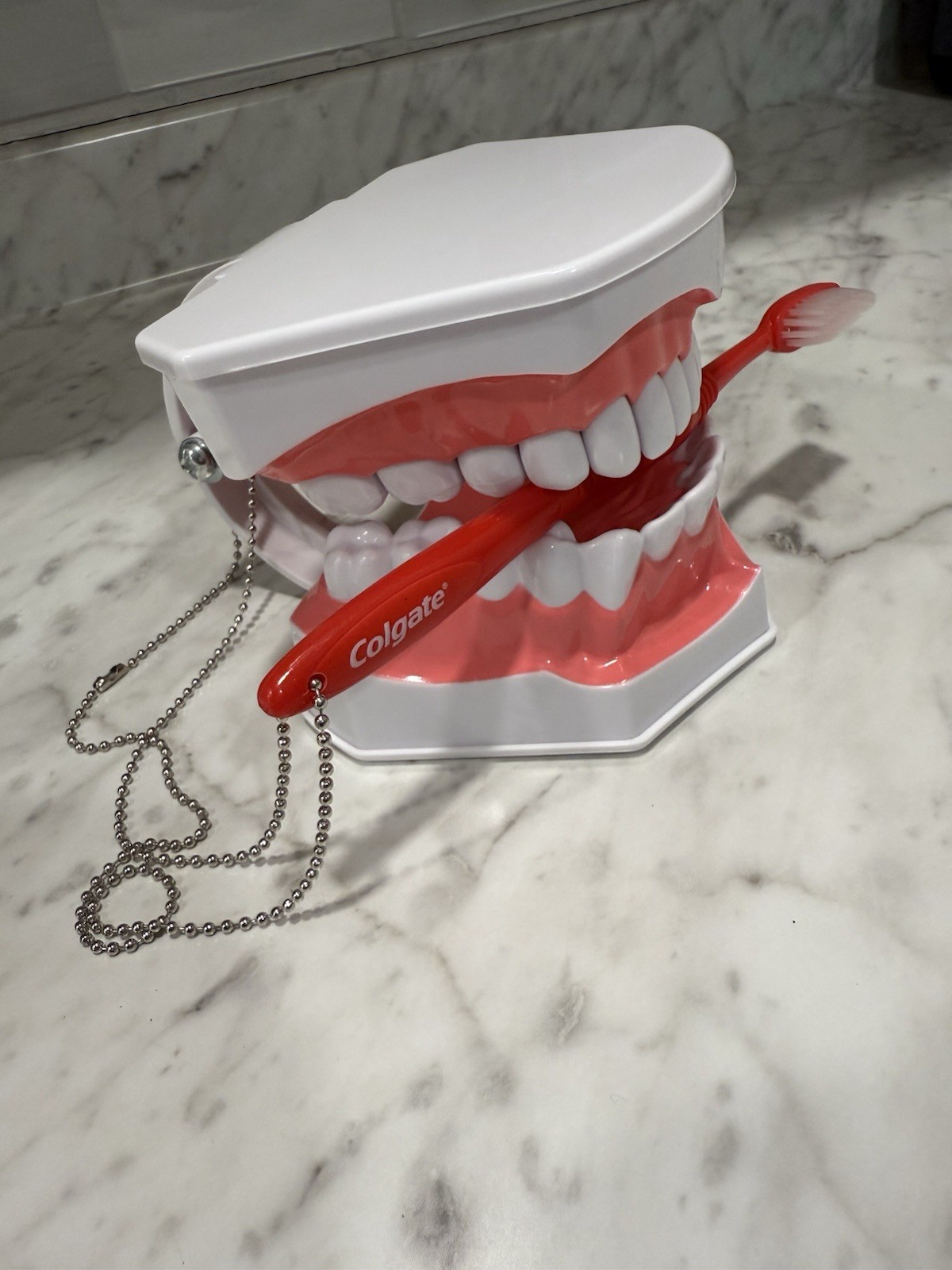 Periodontal Disease Simulated/ Removable Teeth Models, Colgate PT Ed With Brush