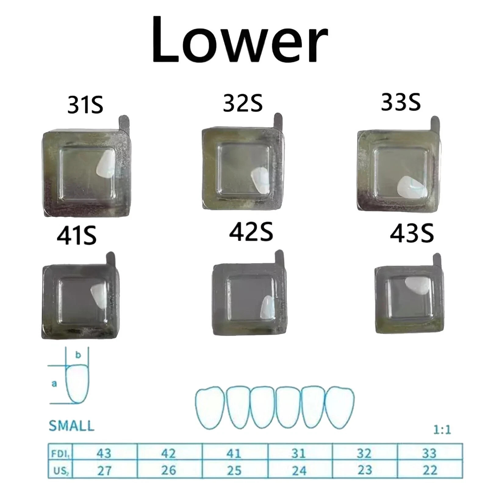 Dental Composite Upper/Lower Resin Light Cure Anterior Teeth Front Teeth Veneers